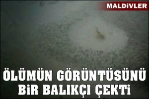 K&Ouml;PEK BALIĞI BİNLERCE BALIK S&Uuml;R&Uuml;S&Uuml;NE NASIL DALDI
