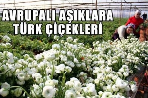 T&Uuml;RKİYE'DEN AVRUPA'YA 40 MİLYON &Ccedil;İ&Ccedil;EK