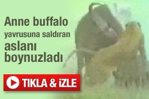 ANNELİK DUYGUSU İŞTE B&Ouml;YLE BİR ŞEY