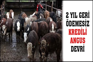 2 YIL GERİ &Ouml;DEMESİZ KREDİLİ ANGUS DEVRİ