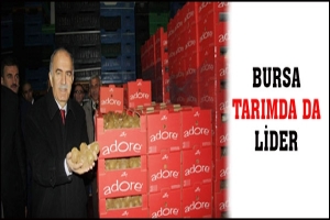 BURSA TARIMDA DA LİDER