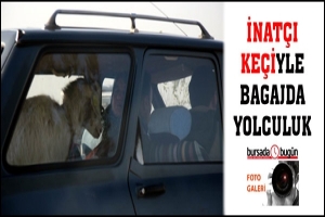 İNAT&Ccedil;I KE&Ccedil;İYLE BAGAJDA YOLCULUK