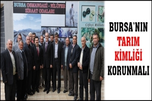 BURSA'NIN TARIM KİMLİĞİ KORUNMALI