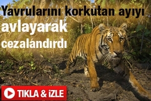 ANNE KAPLANIN AYIDAN İNANILMAZ İNTİKAMI