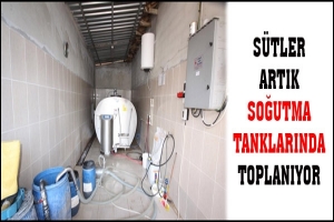 S&Uuml;TLER SOĞUTMA TANKLARINDA TOPLANIYOR