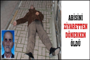 ABİSİNİ ZİYARETTEN D&Ouml;NERKEN &Ouml;LD&Uuml;