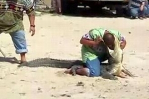 TİMSAH G&Ouml;STERİSİ SONU OLUYORDU