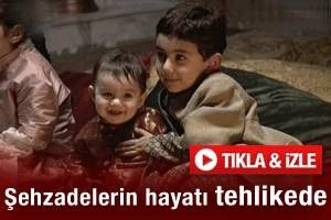 ŞEHZADELERİN HAYATI TEHLİKEDE