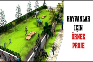 HAYVANLAR İ&Ccedil;İN &Ouml;RNEK PROJE