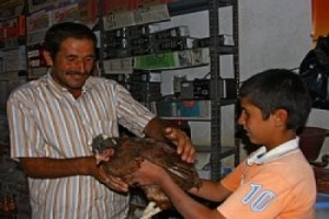 PARANIN GE&Ccedil;MEDİĞİ K&Ouml;Y