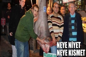 DEV K&Ouml;PEK BALIĞI ŞAŞKINA &Ccedil;EVİRDİ