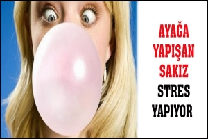 AYAĞA YAPIŞAN SAKIZ İNSANDA STRES YAPIYOR