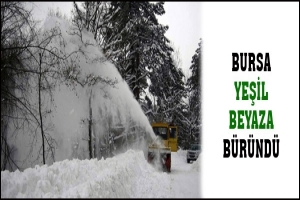 BURSA YEŞİL BEYAZ OLDU
