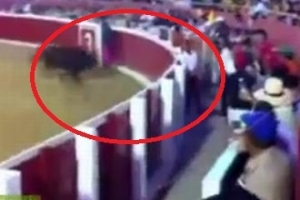 BOĞA SEYİRCİLERİN ARASINA B&Ouml;YLE DALDI
