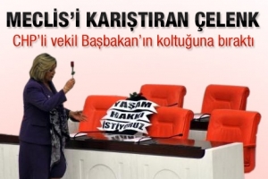 MECLİS'İ KARIŞTIRAN &Ccedil;ELENK