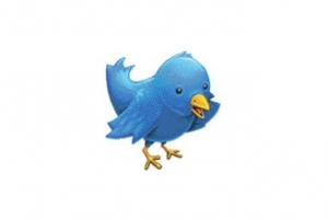BİR TWİT İLE ZENGİN OLDULAR