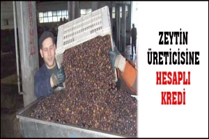 ZEYTİN &Uuml;RETİCİSİNE HESAPLI KREDİ