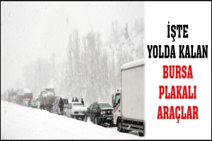 İŞTE YOLDA KALAN BURSA PLAKALI ARA&Ccedil;LAR