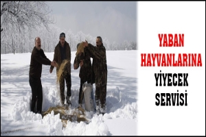 YABAN HAYVANLARINA YİYECEK SERVİSİ