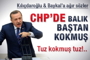 "CHP'DE BALIK BAŞTAN KOKMUŞ"