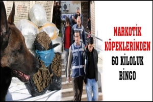 NARKOTİK K&Ouml;PEKLERİNDEN 60 KİLOLUK BİNGO