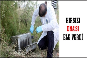 HIRSIZI DNA'SI ELE VERDİ