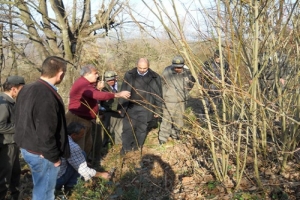KESTANE VE IHLAMUR ORMANLARINA MAKYAJ