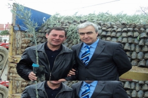 AYVALIK'TA 15 BİN FİDAN DAHA TOPRAKLA BULUŞUYOR
