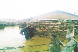 FEKE'DE AŞIRI YAĞIŞLAR SELE NEDEN OLDU