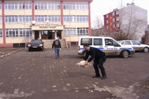K&Uuml;MESTEN KA&Ccedil;AN HİNDİ POLİSİ PEŞİNDEN KOŞTURDU