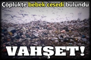 &Ccedil;&Ouml;PL&Uuml;KTE BEBEK CESEDİ BULUNDU