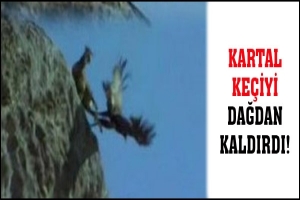 KARTAL KE&Ccedil;İYİ DAĞDAN KALDIRDI!