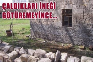İNEĞİ G&Ouml;T&Uuml;REMEYİNCE KESİP ETLERİNİ ALDILAR!