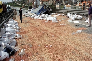 FISTIK Y&Uuml;KL&Uuml; TIR 4 PAR&Ccedil;AYA B&Ouml;L&Uuml;ND&Uuml;