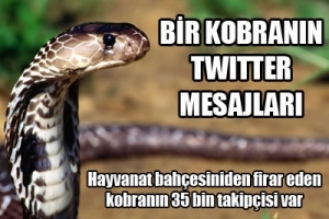 KAYIP YILAN TWİTTER'DAN TAKİP EDİLİYOR