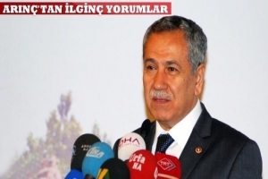 ARIN&Ccedil;'TAN İLGİN&Ccedil; YORUMLAR