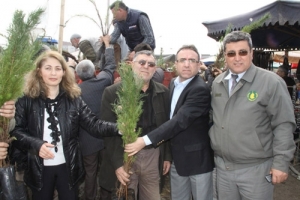 BEDAVA FİDANA H&Uuml;CUM