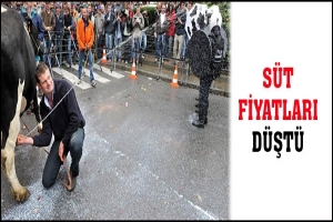 S&Uuml;T FİYATLARI D&Uuml;ŞT&Uuml;
