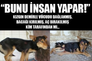 BUNU İNSAN YAPAR