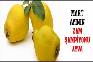 MART AYININ ZAM ŞAMPİYONU AYVA