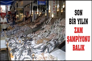 SON BİR YILIN ZAM ŞAMPİYONU BALIK