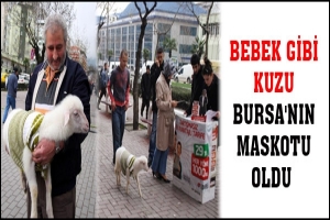 BEBEK GİBİ KUZU BURSA'NIN MASKOTU OLDU