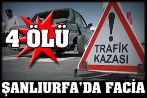ŞANLIURFA'DA FACİA
