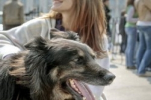ROMANYA BAŞIBOŞ K&Ouml;PEKLERİ &Ouml;LD&Uuml;RECEK