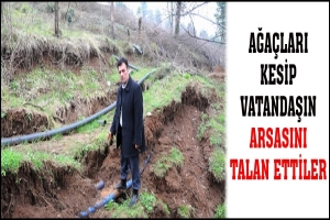 AĞA&Ccedil;LARI KESİP VATANDAŞIN ARSASINI TALAN ETTİLER