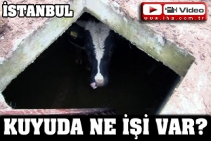 KUYUDA NE İŞİN VAR