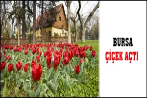 BURSA &Ccedil;İ&Ccedil;EK A&Ccedil;TI