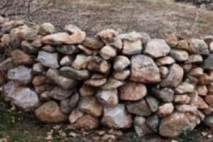 &Ccedil;İFTLİKTEN 40 CESET &Ccedil;IKTI