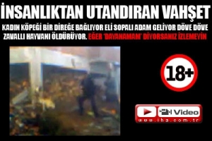 VAHŞET KAMERAYA YANSIDI