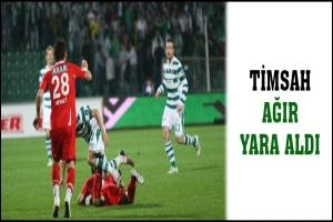 TİMSAH AĞIR YARA ALDI